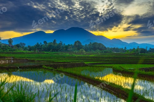 Preview: beautiful morning view panorama of indonesia agriculture