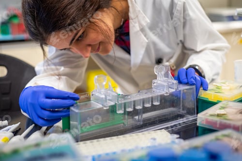 Preview: Young lady scientist working in a biomedical research laboratory running western blot