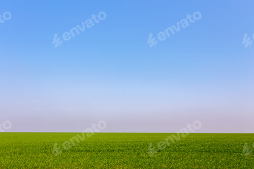 Preview: spring green field
