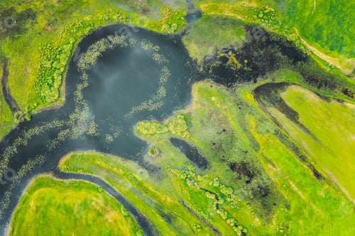 Preview: Aerial View Of Green Forest, Meadow And River Marsh Landscape In Summer Evening. Top View Of
