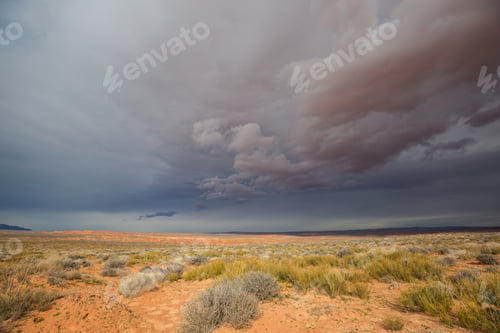 Preview: American prairie