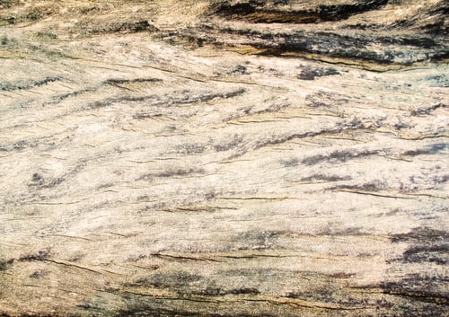 Preview: Old wood wall texture background.