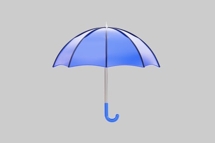 Preview: Finance protection blue umbrella asset