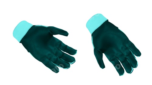 Preview: Golf gloves isolated on white background