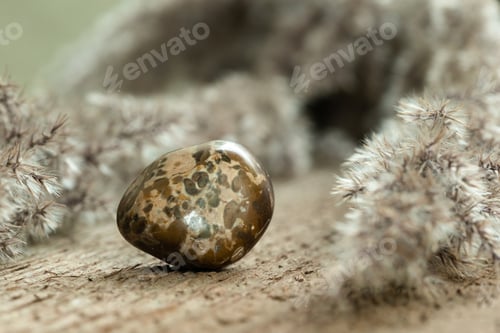 Preview: Brown Jasper Tumbled Gem Stone on Wood