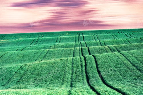 Preview: Abstract rural landscape with agricultural fields