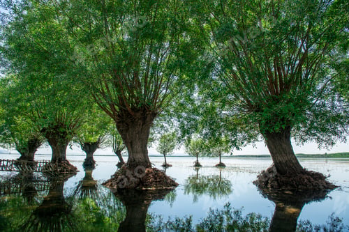 Preview: Civril Isikli Lake in Denizli.