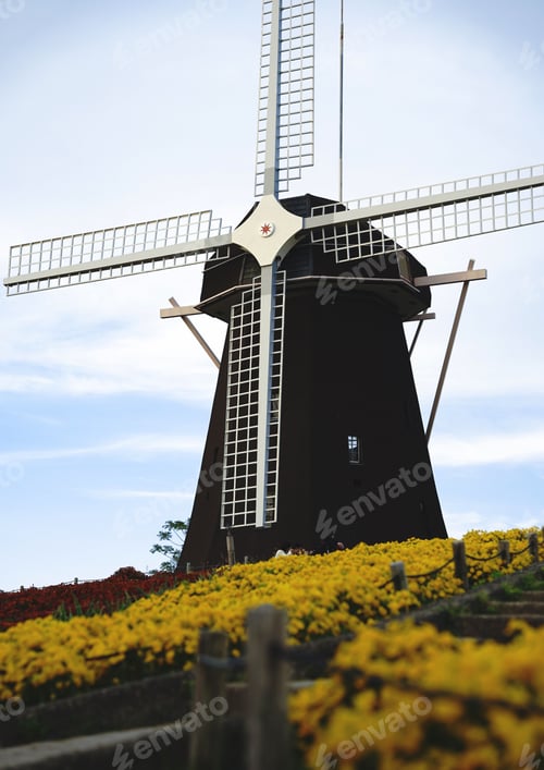 Preview: Vertical shot of a windmill in a rural area surrounded by a field of yellow flowers