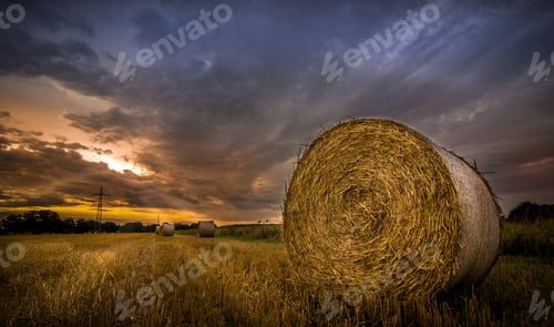 Preview: Sunrise over Fields of Hay