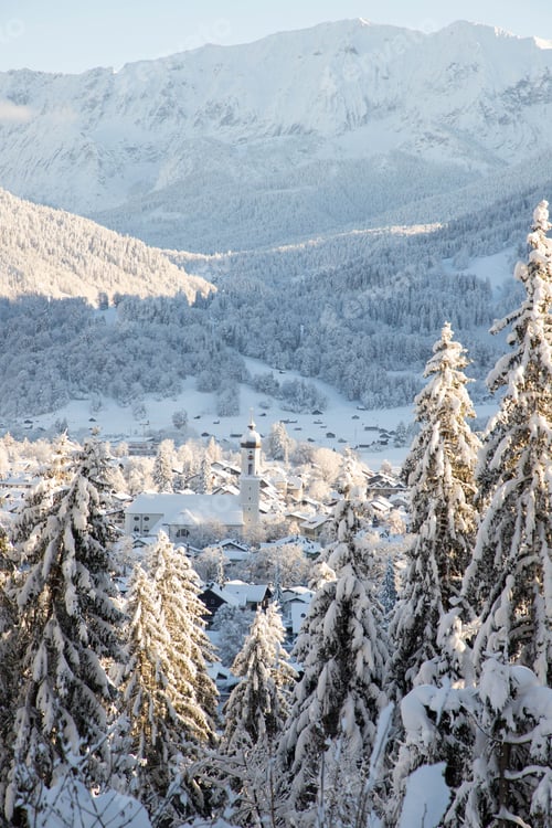 Preview: winter mountain landscape in the Alps with snow covered fir trees