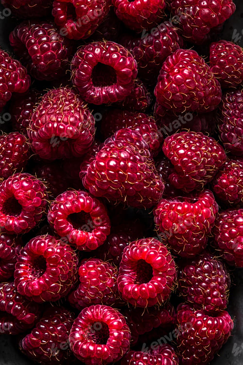 Preview: Raspberry close-up shot from above with deep shadows