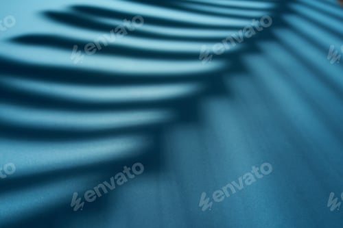 Preview: Beautiful monstera leaves shadow colored background in artificial light