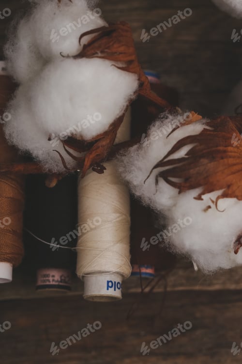 Preview: Cotton flower