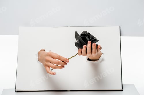 Preview: cropped shot of woman holding black rose flower through holes on white