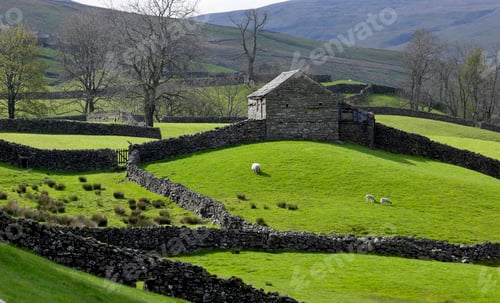 Preview: Stone barn and dry stone walls of a hill farm in North Yorkshire - England