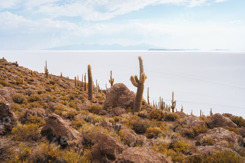 Vorschau: Insel Incahuasi auf den Salaren von Salar de Uyuni, Bolivien