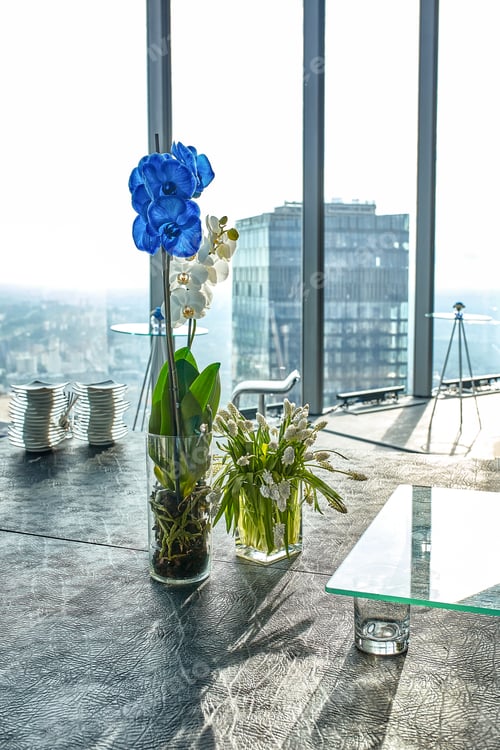 Preview: Blue and white orchids in a vase on the table, a beautiful arrangement of flowers in the office.