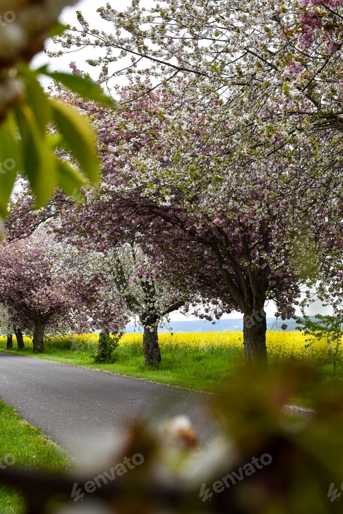 Preview: Spring landscape
