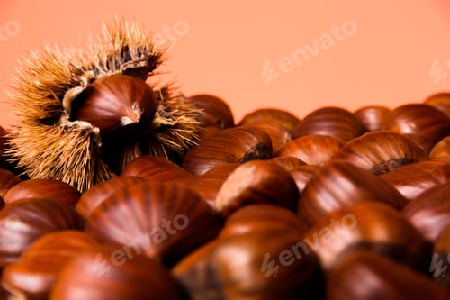 Preview: Ripe chestnuts close up. Raw Chestnuts for Christmas. Fresh sweet chestnut. Food background. Copy