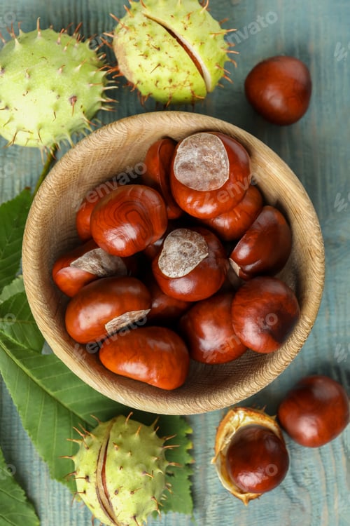 Preview: Horse chestnuts and leaf on blue wooden table, flat lay