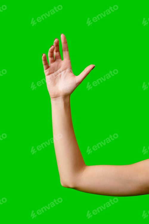 Preview: Womans Arm Hand Sign Raised in the Air