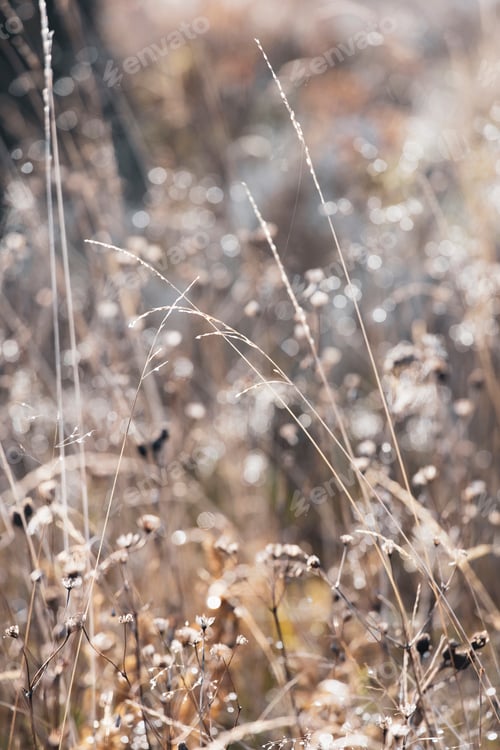 Preview: the natural background