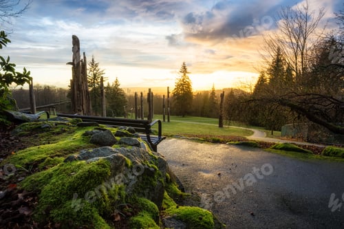 Preview: Park in Burnaby Mountain, Nature Background