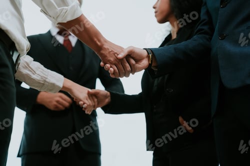 Preview: successful negotiate and meeting handshake concept, businessman partner person shake hand