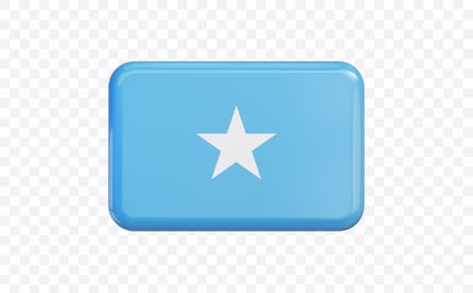 Preview: Somalia Flag Banner