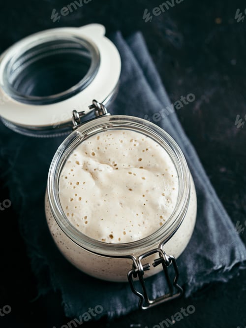 Preview: Wheat sourdough starter, copy space