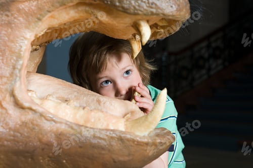 Preview: Boy looking at a rhinos teeth