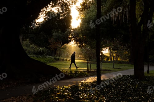 Preview: Beautiful shot of a man walking in a park
