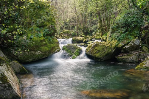Preview: Huge limestone rock covered with moss and ferns next to a river