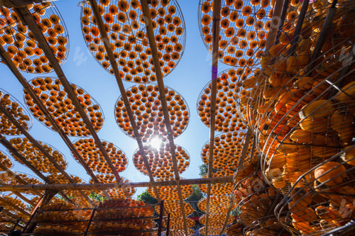 Preview: Sun dried persimmon fruit dried persimmon processing