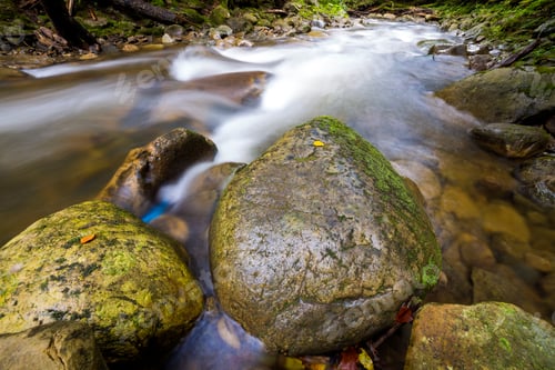 Preview: Fast flowing through wild green forest river with crystal clear smooth silky water falling from big