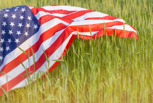 Preview: The American flag gently drapes over a wheat field, symbolizing unity, agriculture United States