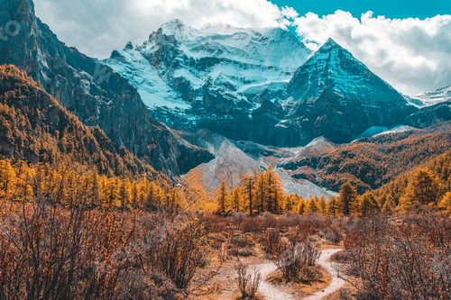 Preview: Colorful in autumn forest and snow mountain at Yading nature reserve