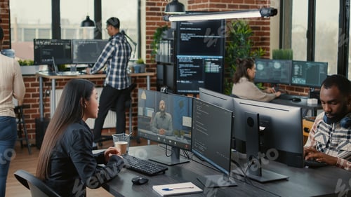 Preview: Software company employee in video call conference with business owner discussing coding project