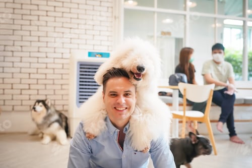 Preview: Young man play with dog in cafe