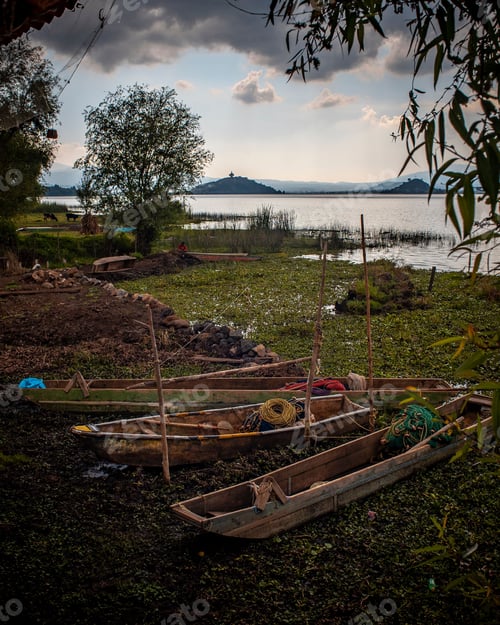 Preview: Vertical shot of small wooden boats on lush green lakeshore on a cloudy day