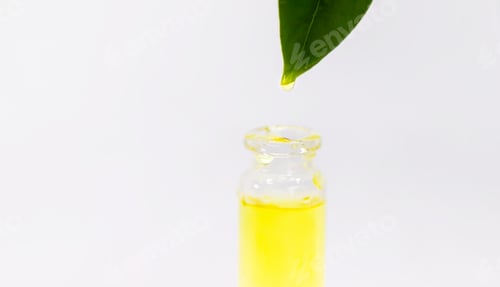 Extracting Oil Droplet from Leaf into Glass Bottle