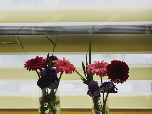 Preview: Vases of flowers