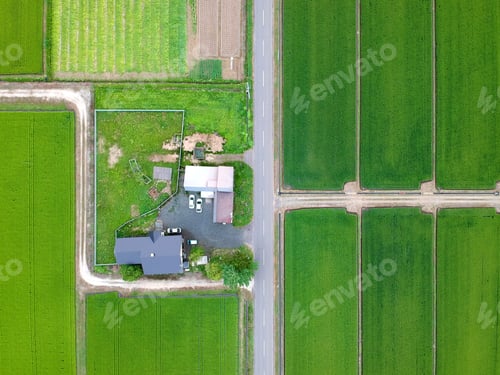 Preview: Aerial view of the road through the green field. Agricultural landscape