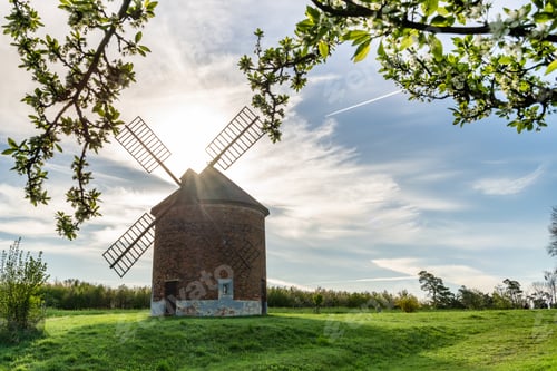 Preview: historic windmill in czech village surrounded by spring blossoms
