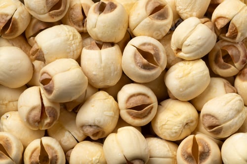 Preview: Dried Lotus seed full frame close up