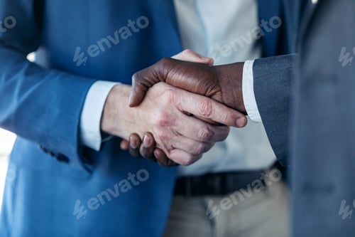 Preview: Close-up view of business partner handshaking process.