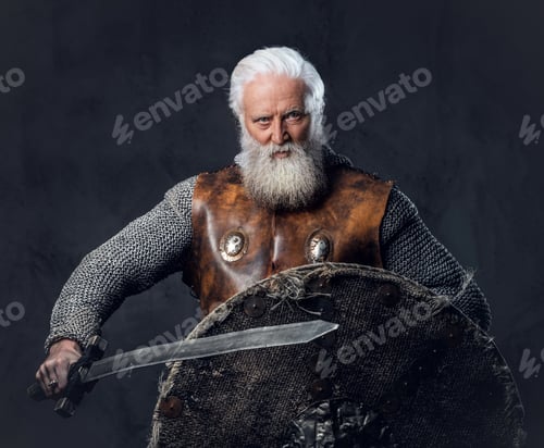 Preview: Glorious elderly crusader with shield and sword dressed in armor