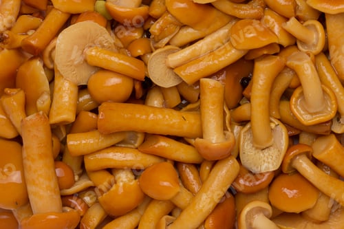 Preview: marinated mushrooms background