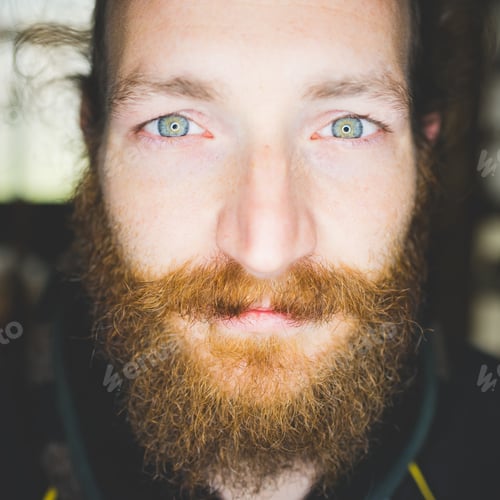 Preview: Close up portrait of bearded mid adult man looking at camera smiling