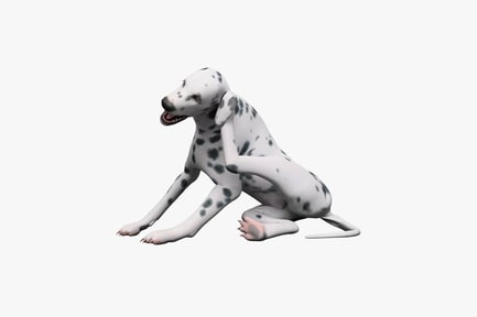 Preview: Dalmatian in sitting posture with open mouth